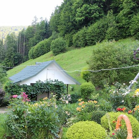 Котедж "Красний Краєвид" Jaremče Exteriér fotografie