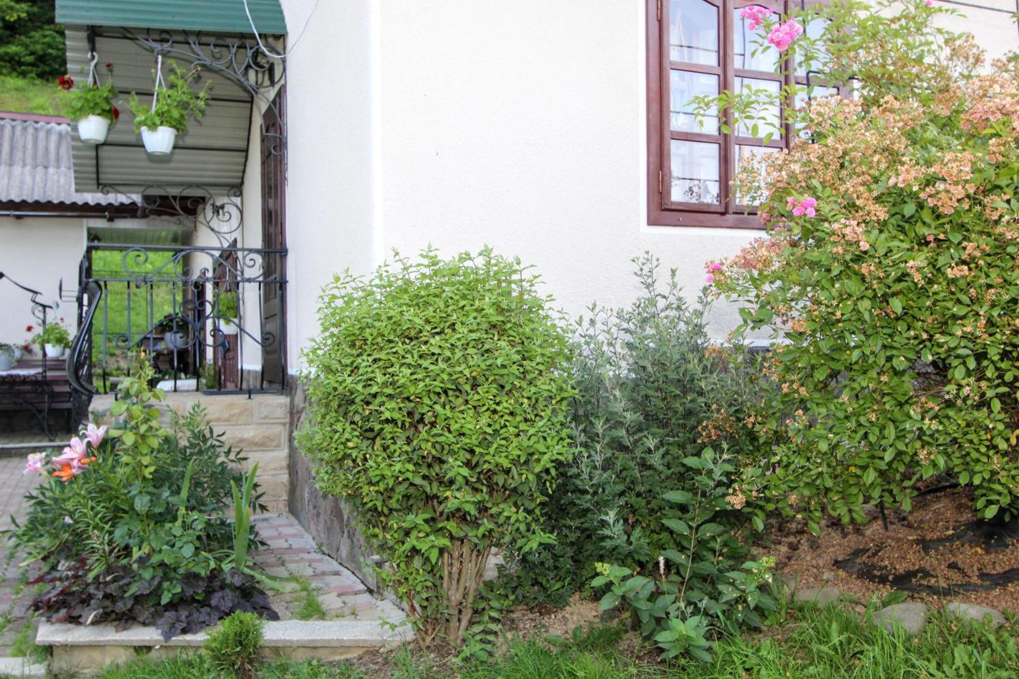 Котедж "Красний Краєвид" Jaremče Exteriér fotografie