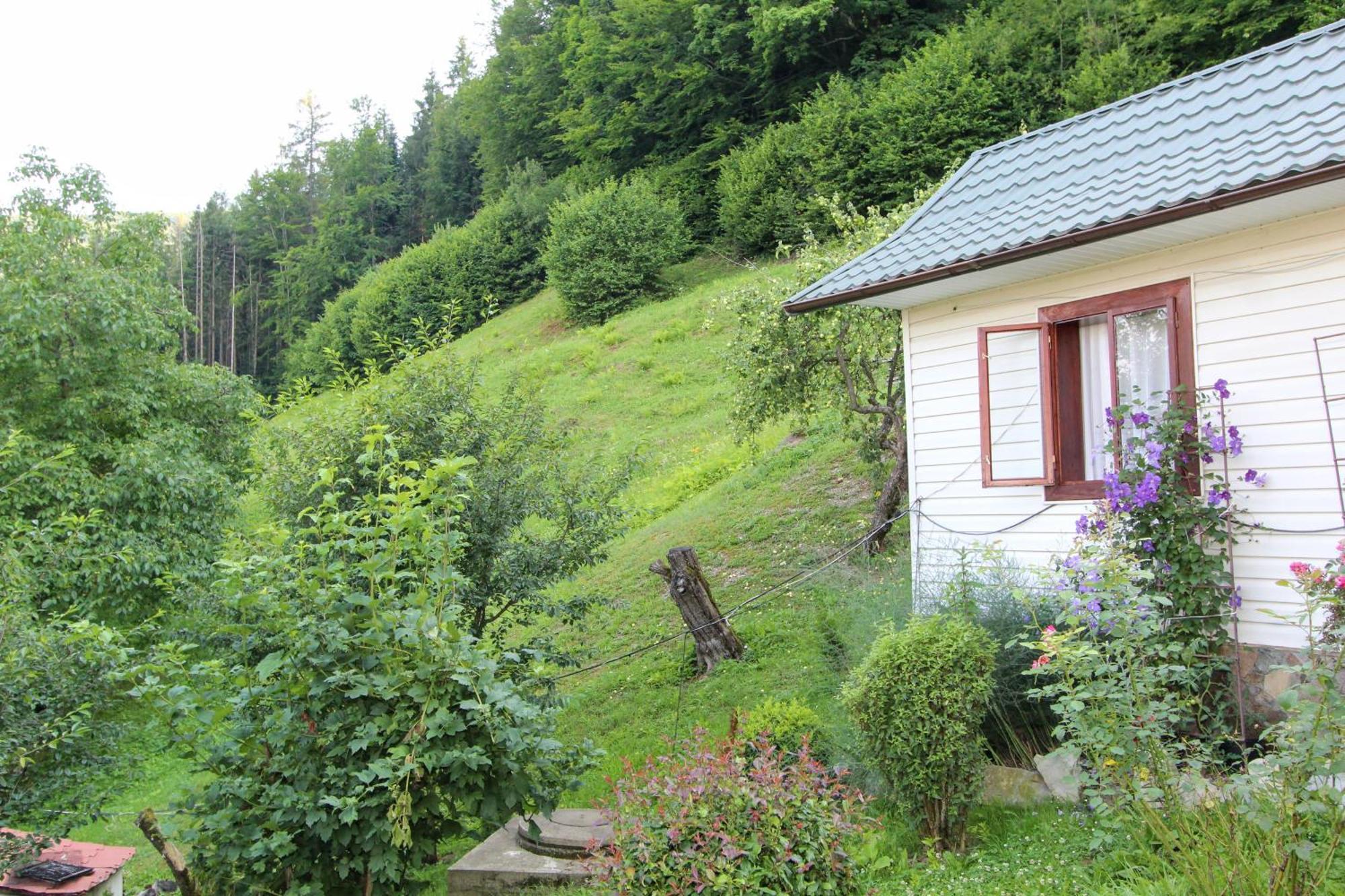 Котедж "Красний Краєвид" Jaremče Exteriér fotografie
